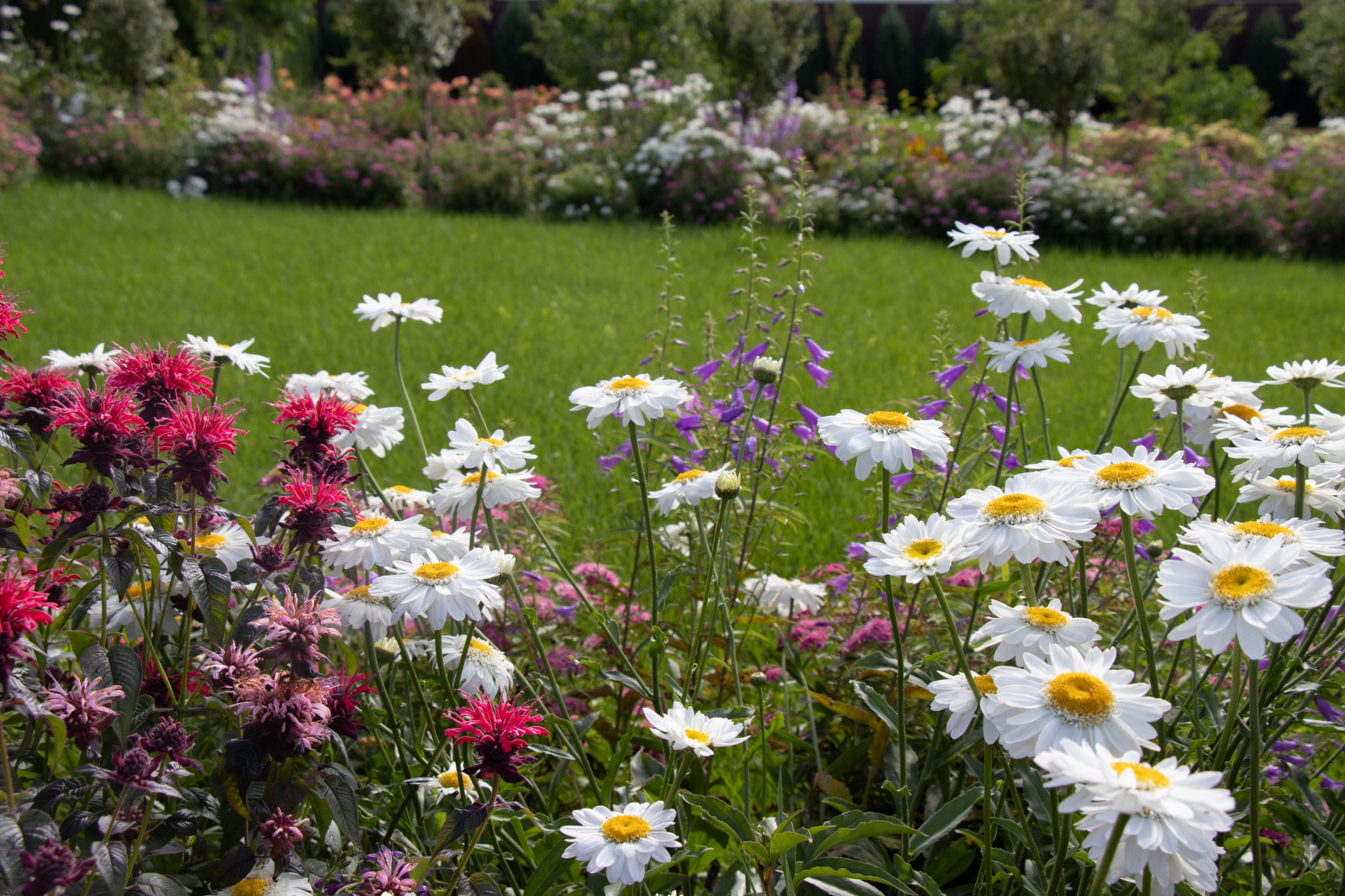 Сосновые берега