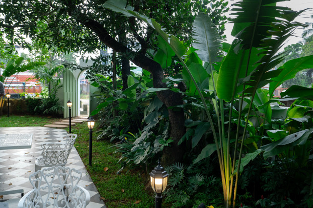 Gvq landscape