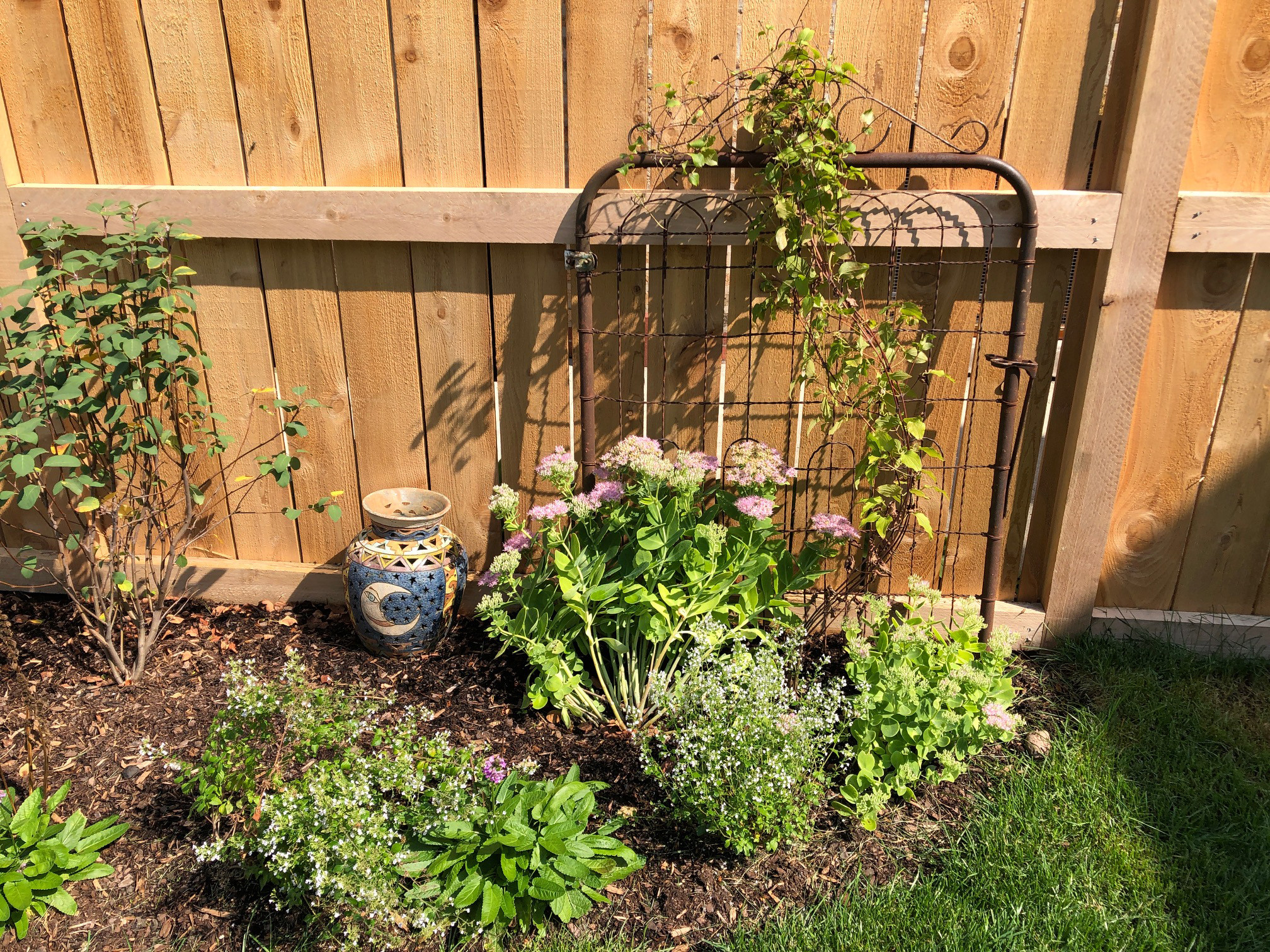 Back yard facelift
