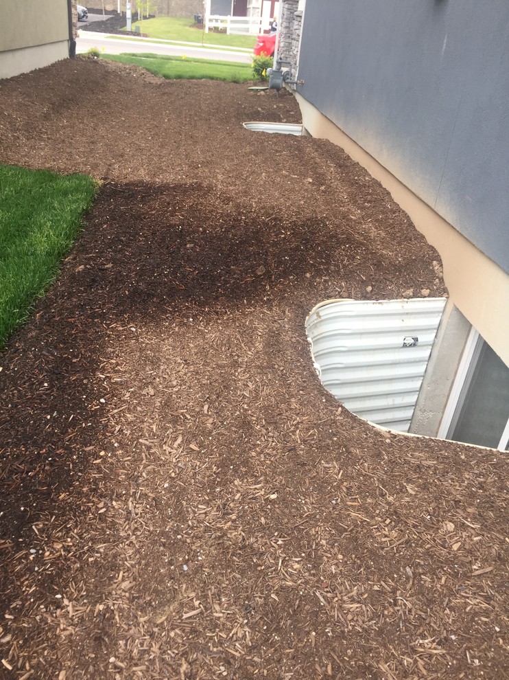 Side Yard Before