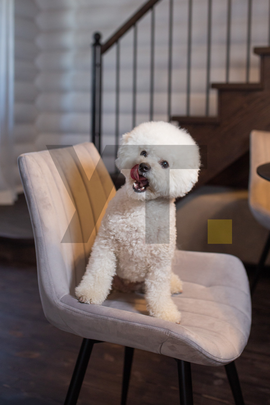 Обеденные и барные стулья