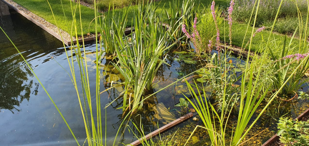 Водоемы и бассейны в саду