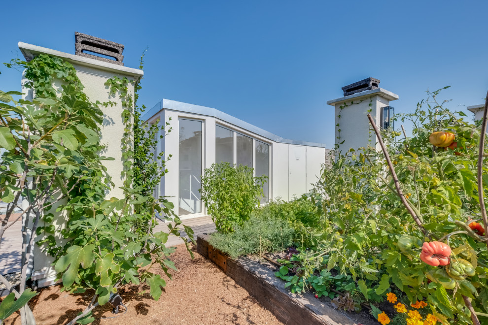 Idée de décoration pour un toit terrasse sur le toit champêtre de taille moyenne avec une cheminée, aucune couverture et un garde-corps en bois.