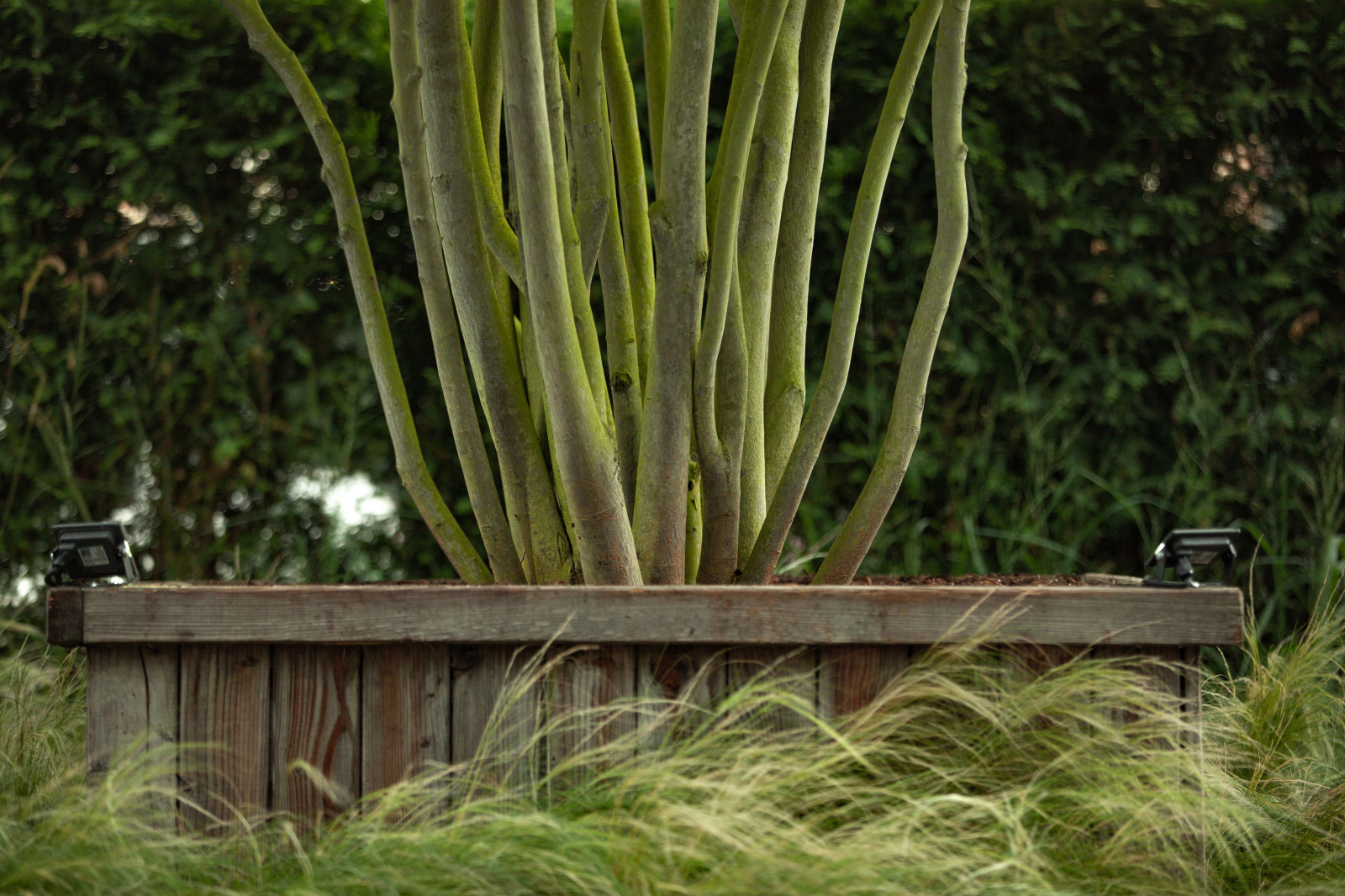 Архитектура природы