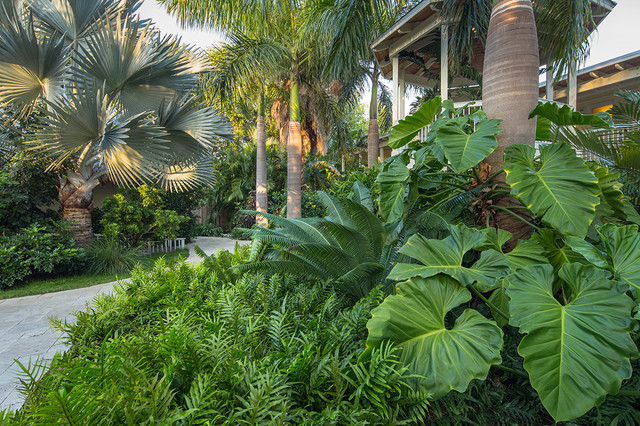 10 Shade-Loving Plants | Tropical Gardens | Houzz