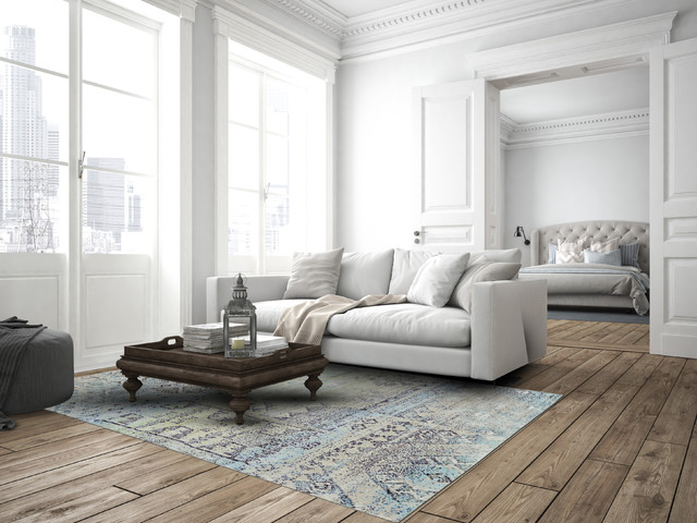 Area Rugs Scandinavian Living Room Philadelphia By Avalon