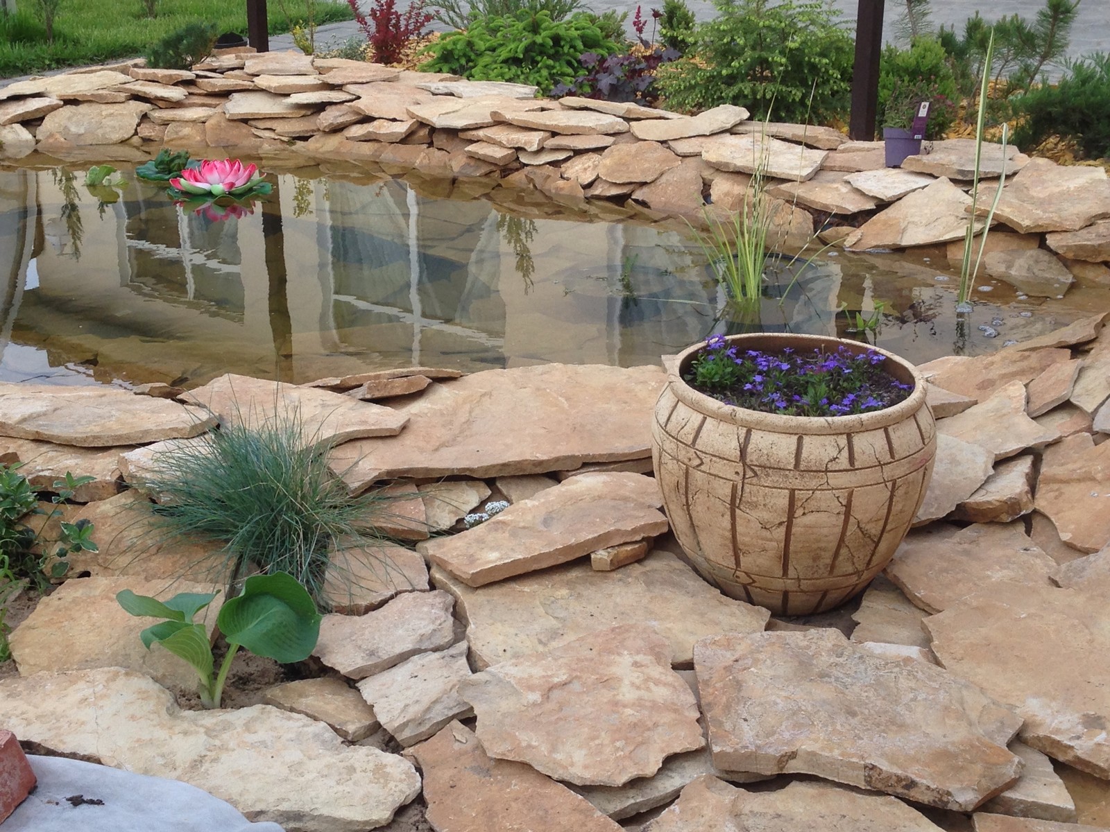 Садовый пруд в африканском стиле