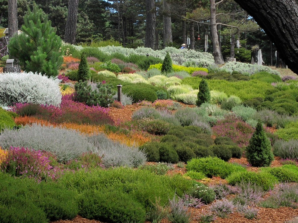Inspiration for a contemporary sloped full sun garden in San Francisco.