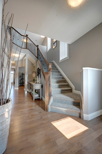 Paramount Model transitional-entry