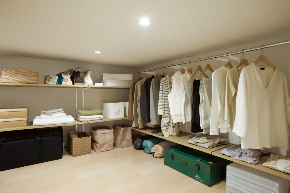Inspiration for a modern storage and wardrobe.
