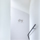 Atelier Shy
