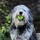 kim_loweoliver
