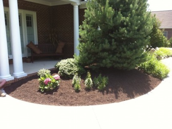 Design ideas for a mid-sized transitional full sun front yard landscaping for spring.