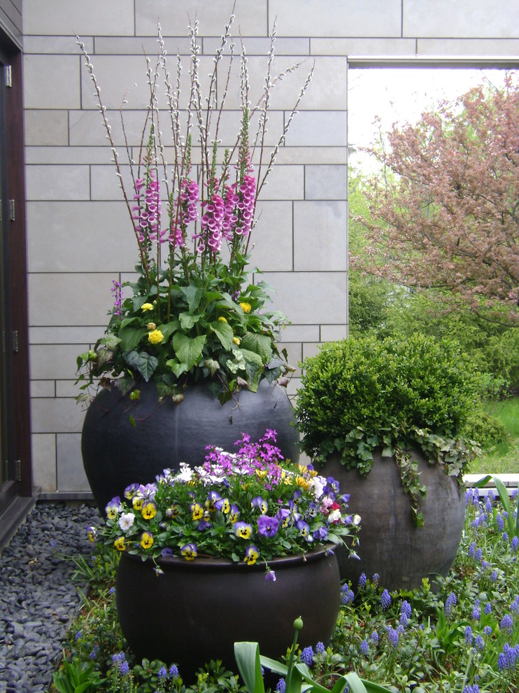 Photo of a traditional partial sun landscaping in Chicago for spring.
