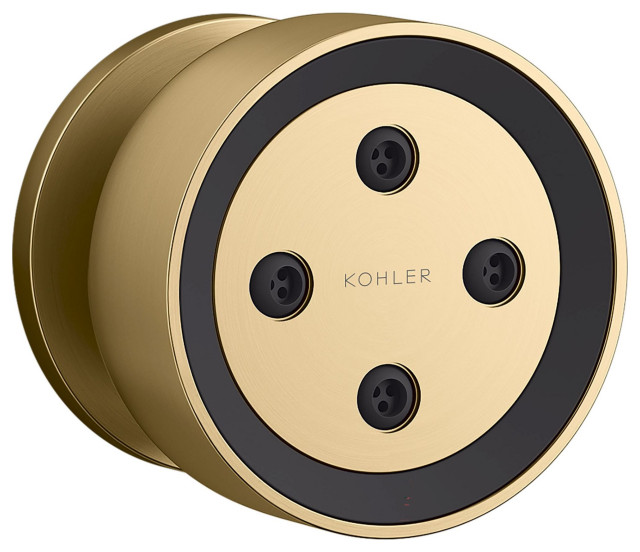 Kohler K26299G Statement Single Function Round Brass Body Spray