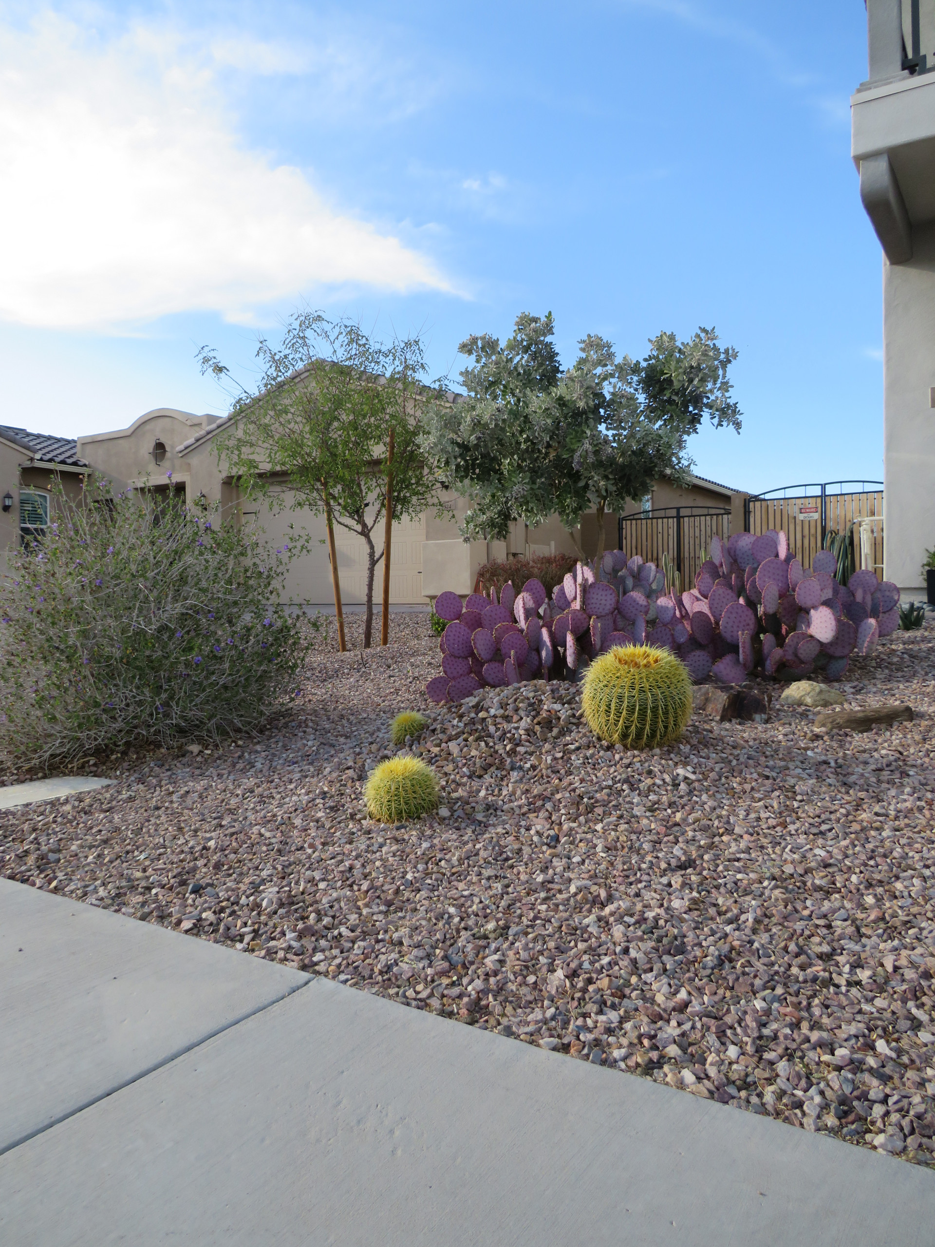 Southwestern Front Yard Landscape - Mesa, AZ