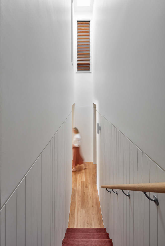 Photo of a large contemporary hallway in Melbourne with white walls, medium hardwood floors, brown floor and decorative wall panelling.