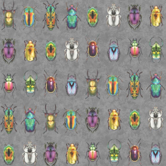 Beetle Jewels Wallpaper, Multicoloured