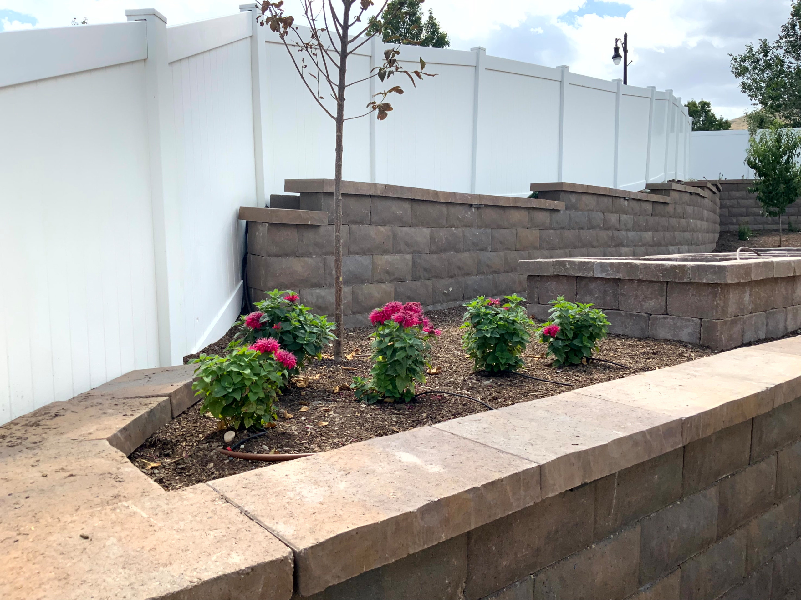 Terraced Edible Garden