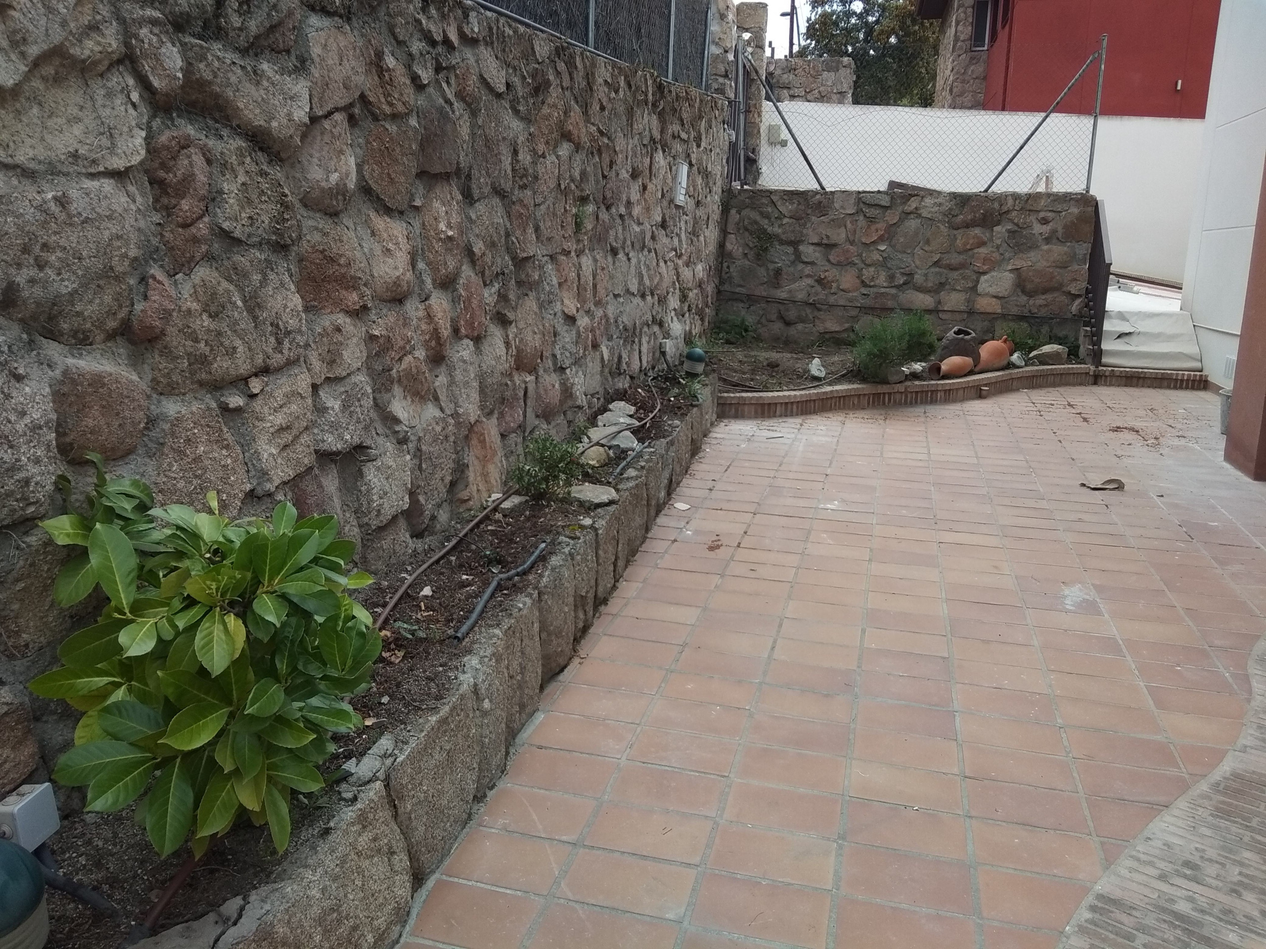 Dando color a viejos jardines