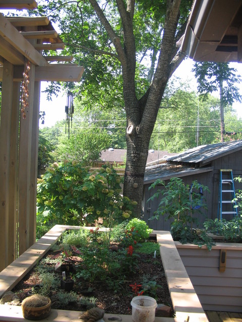 Pergola and Deck contemporary-terrace