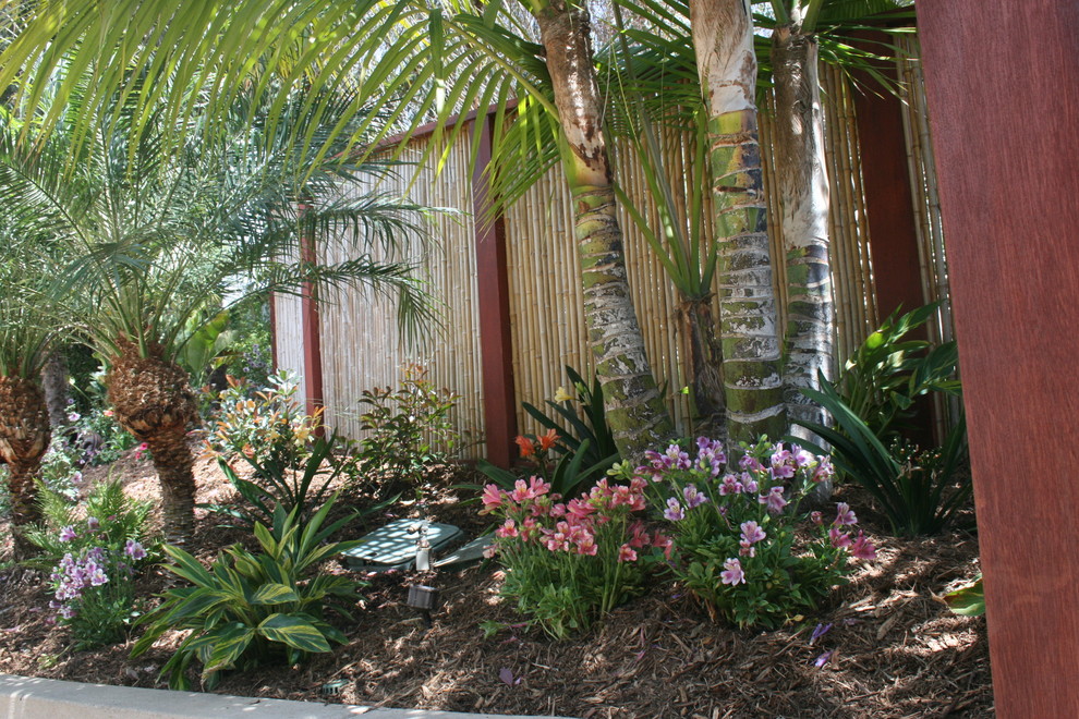 This is an example of a tropical garden in San Diego.