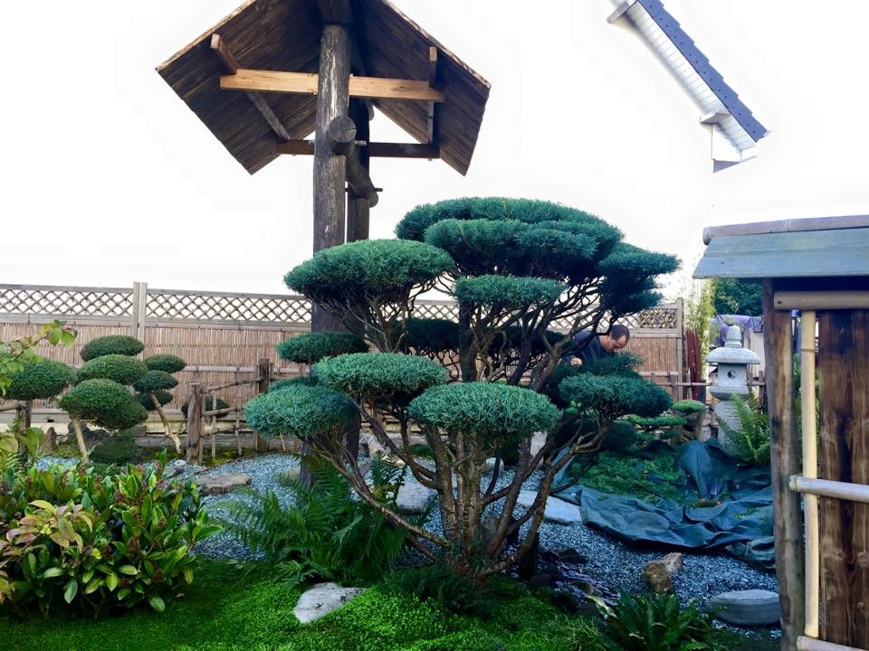 Photo of an asian garden in Le Havre.