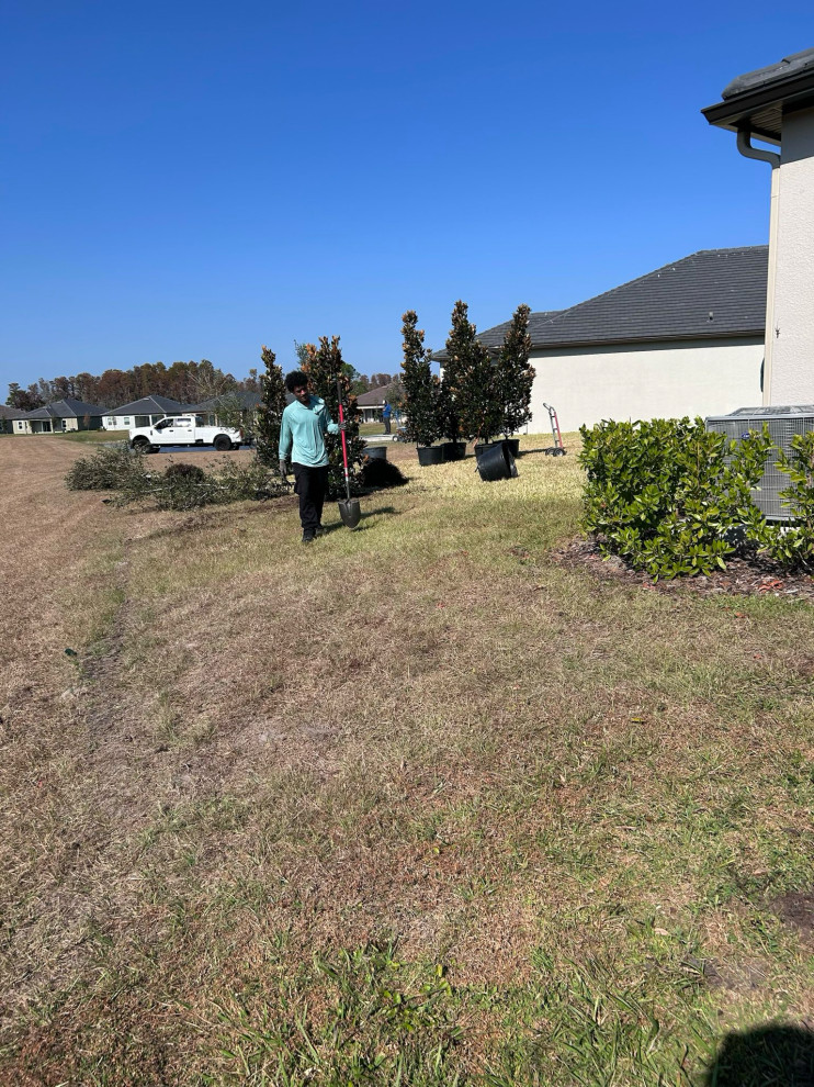 Rooted in Sustainability: Tree Planting with Arborist Partner