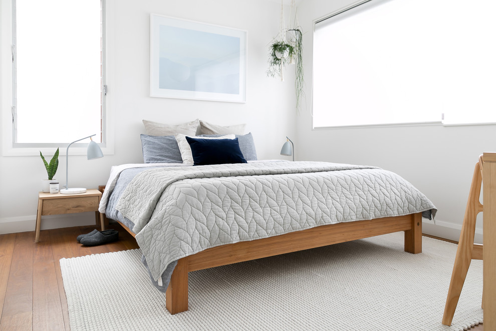 Photo of a contemporary bedroom in Sydney with white walls, medium hardwood floors and brown floor.