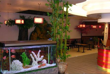 The Asian Grille