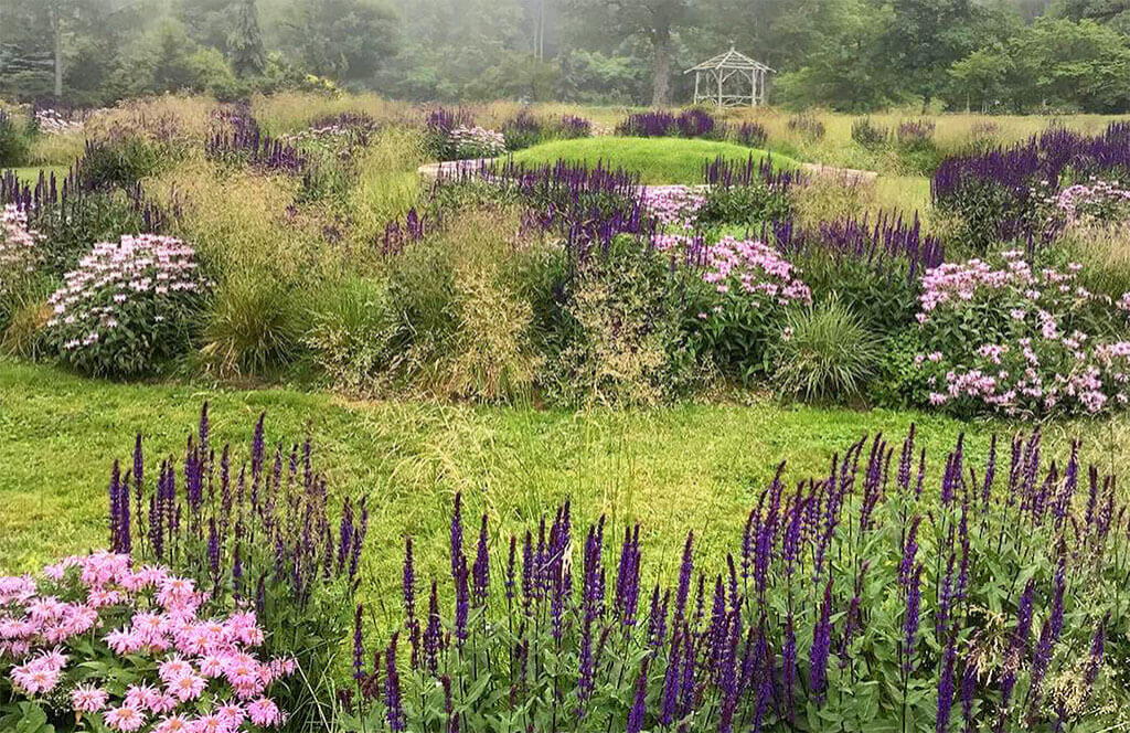 Native Gardens Design and Maintenance in 2024