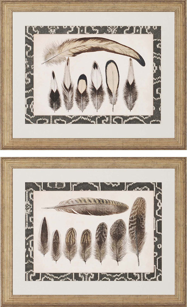 Vintage Feathers Artwork, Set of 2, 30"x24"