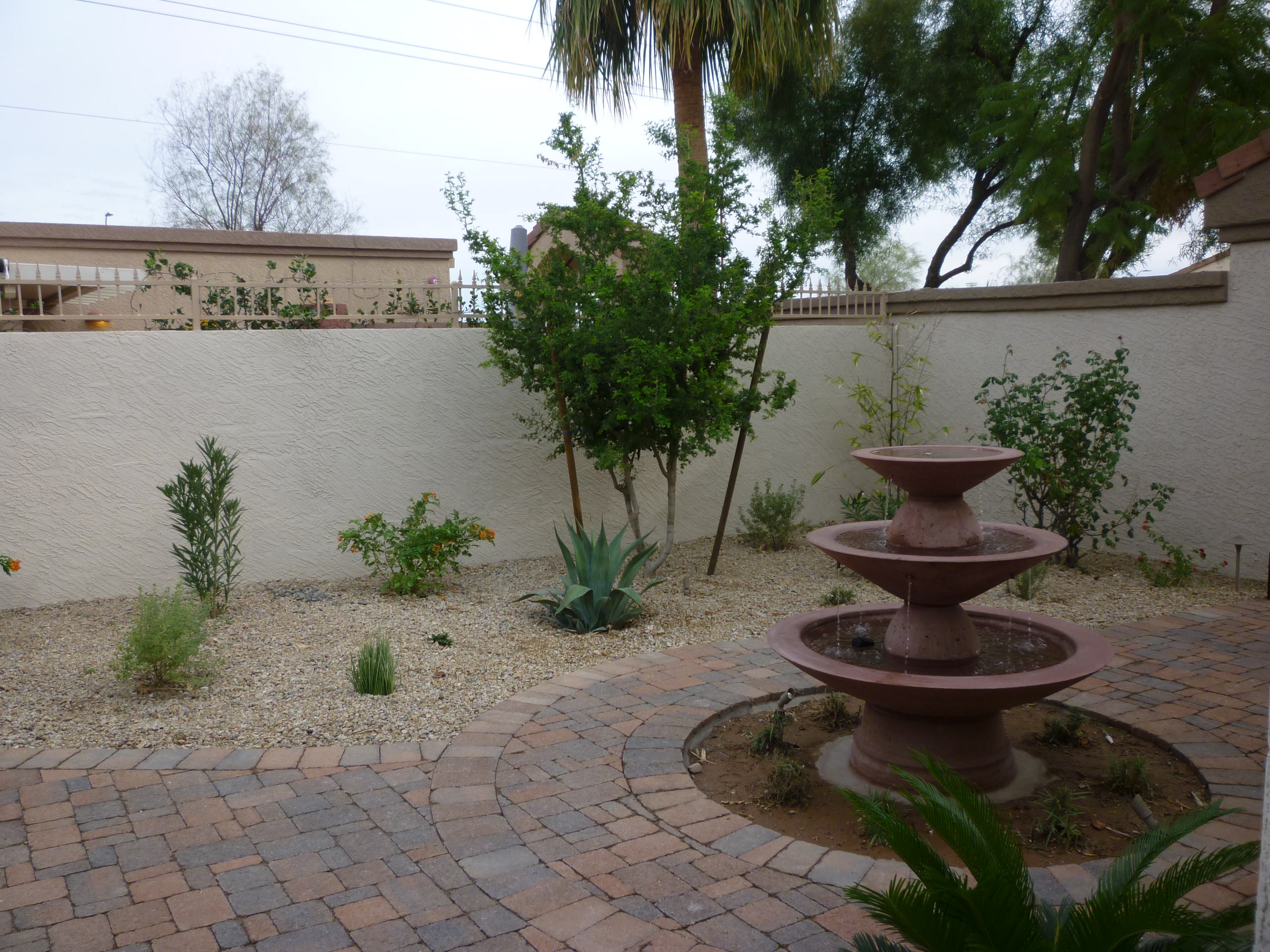 Water Feature & Plantings