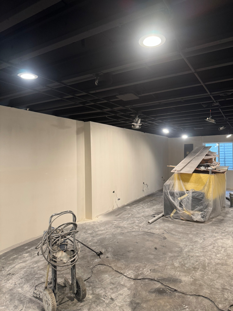 Luxury Basement in Oswego