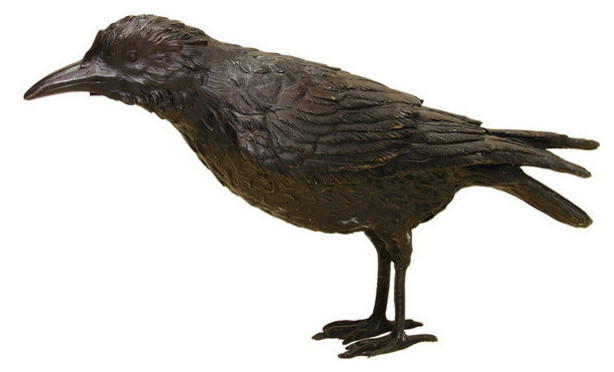 Black Raven, A