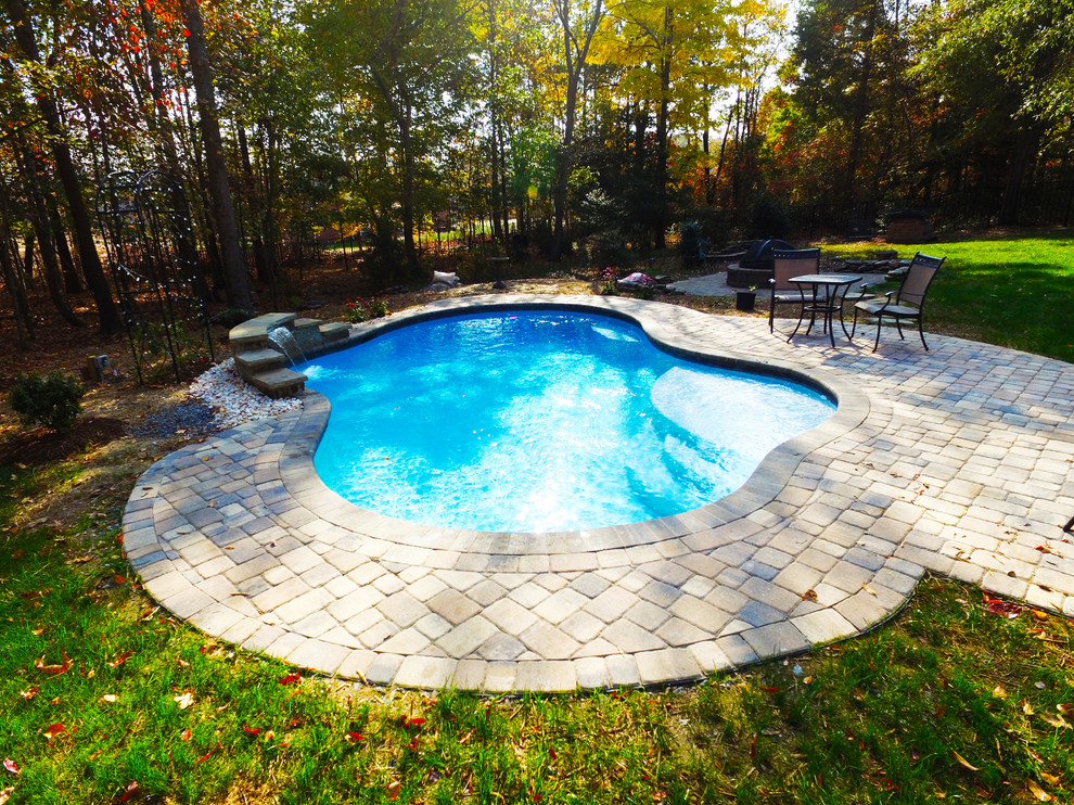 Inspiration for a mid-sized contemporary backyard custom-shaped natural pool in Charlotte with decking.