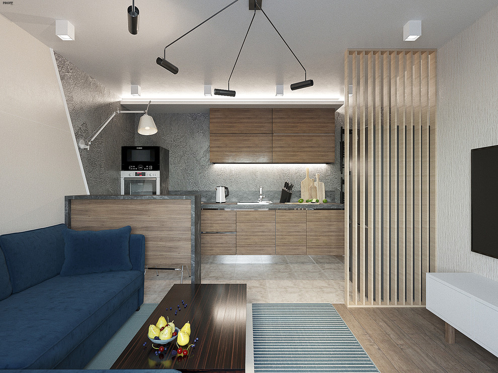 КВАРТИРА ДЛЯ МОЛОДОГО ЧЕЛОВЕКА