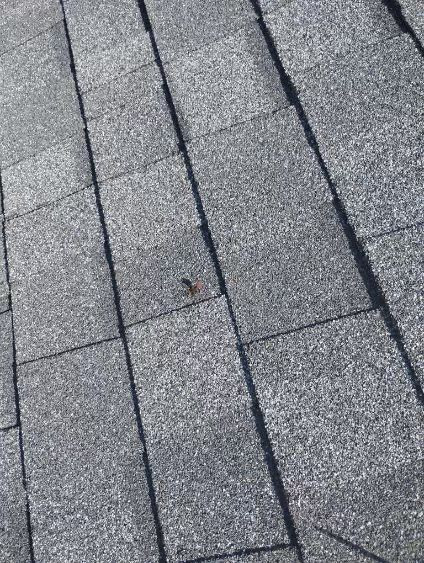 GAF Certified Roofer