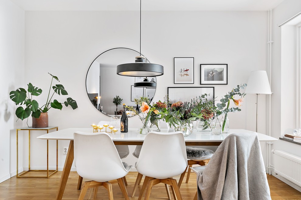 Contemporary dining room in Stockholm with white walls and medium hardwood floors.