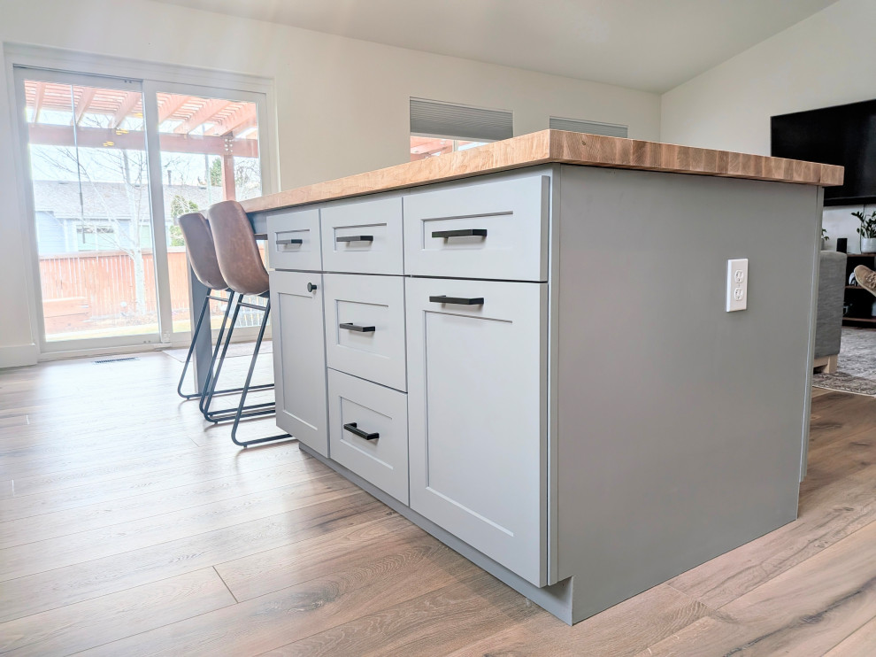 Transitional home design photo in Denver