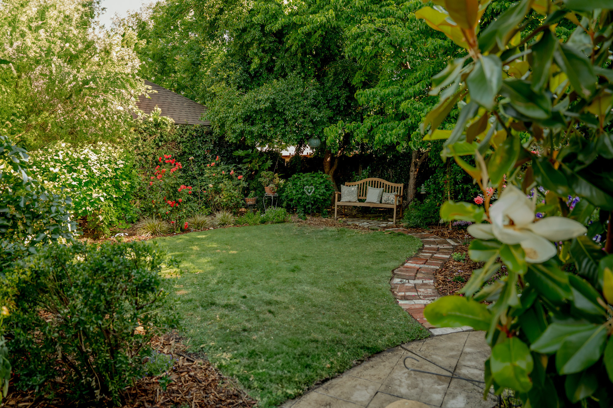 Backyard Overview with Layers of Color and Calm