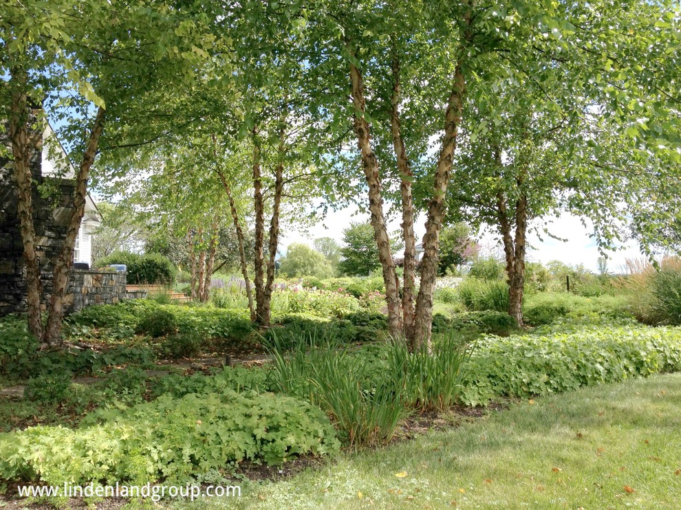 Photo of a country backyard partial sun garden in Burlington with a garden path.
