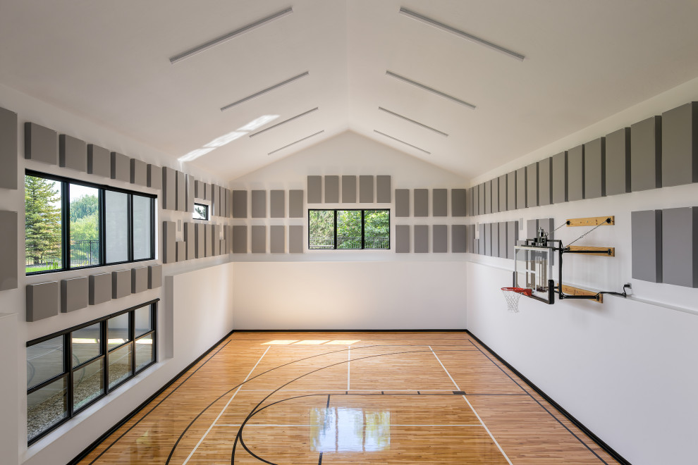 Home gym - modern home gym idea in Boise
