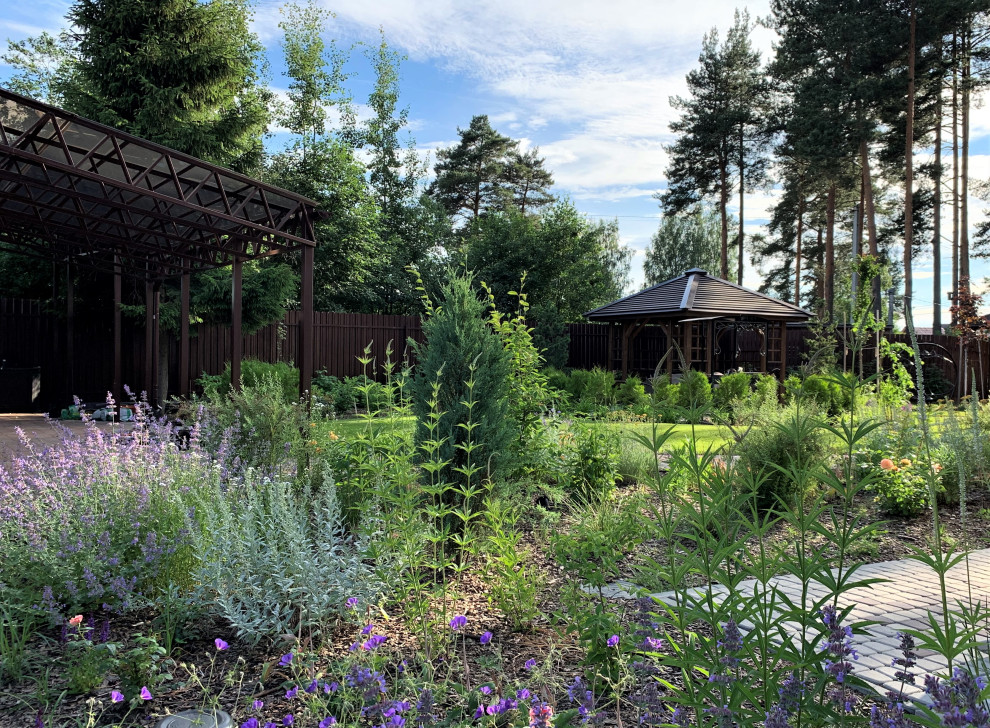 На солнечной поляне