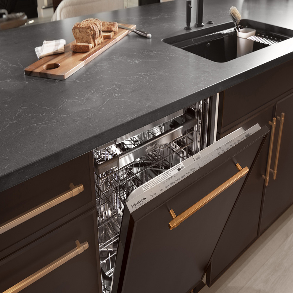 Appliance Panel Modern Kitchen Birmingham by Wellborn