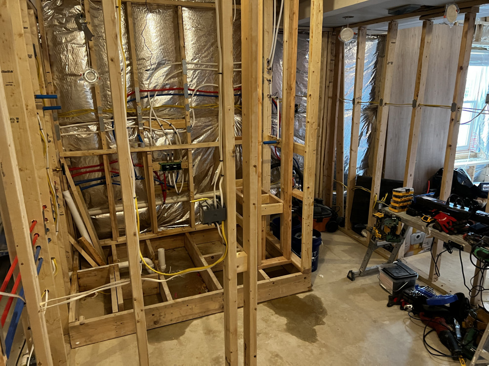 Basement Remodel