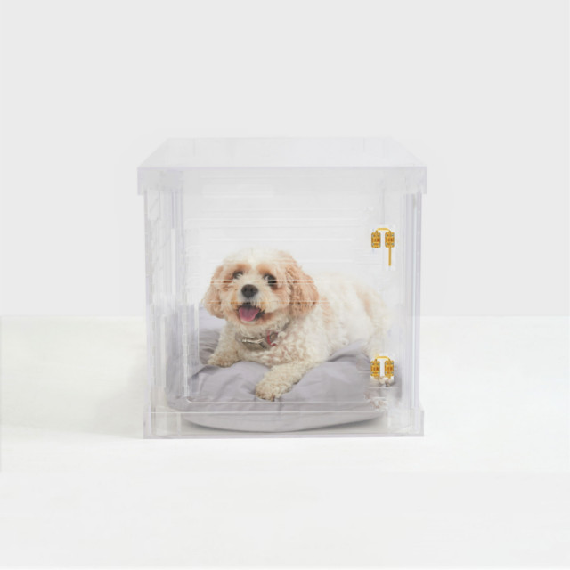 clear acrylic dog crate