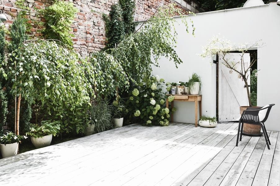 Photo of a mid-sized scandinavian courtyard patio in Other with a vertical garden.