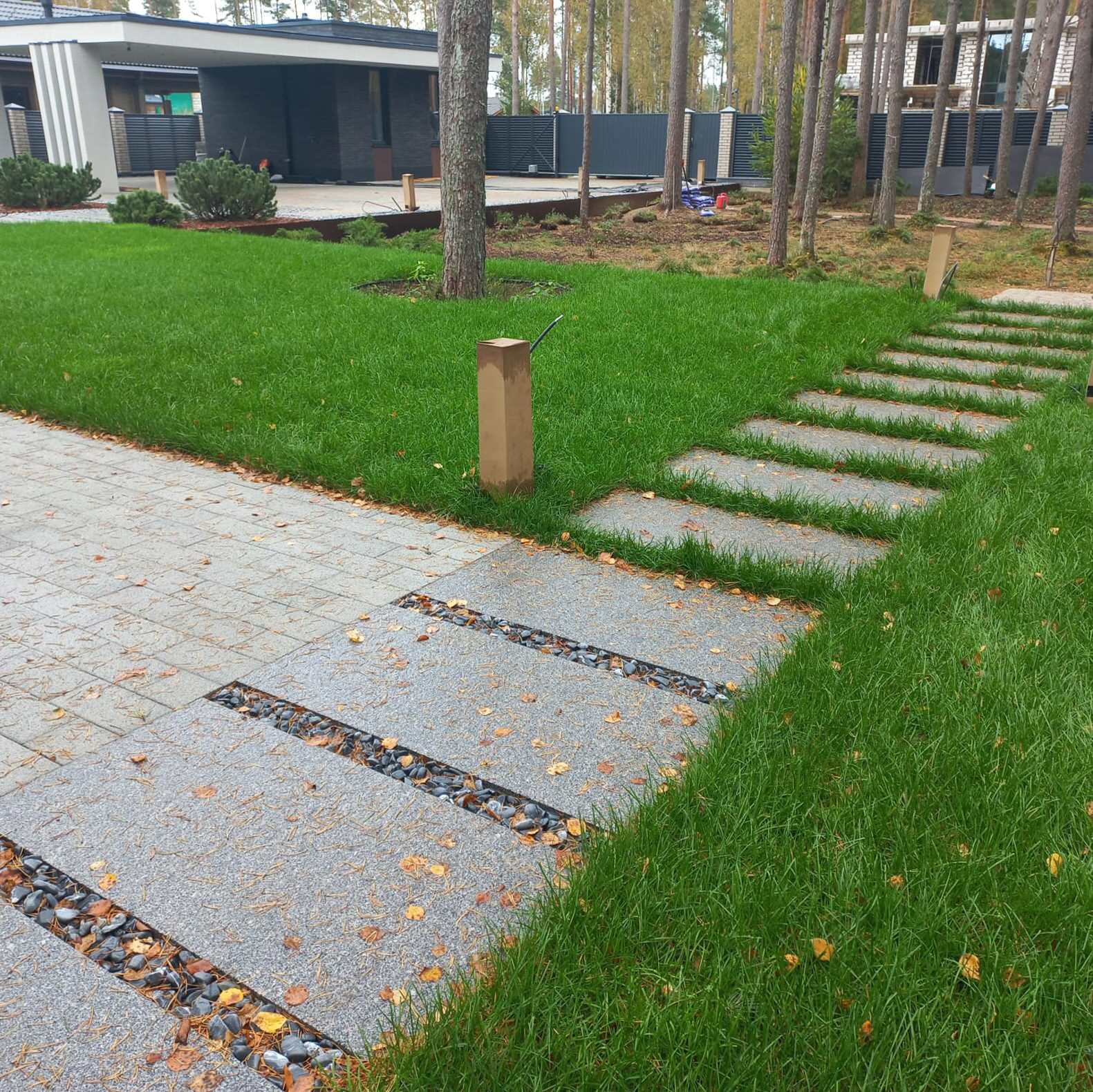 Текущий проект: Репино-Парк