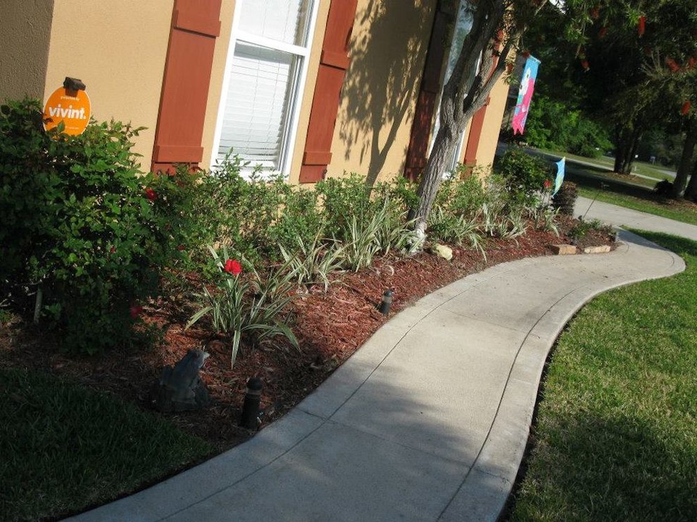 Photo of a traditional backyard garden in Jacksonville with mulch.